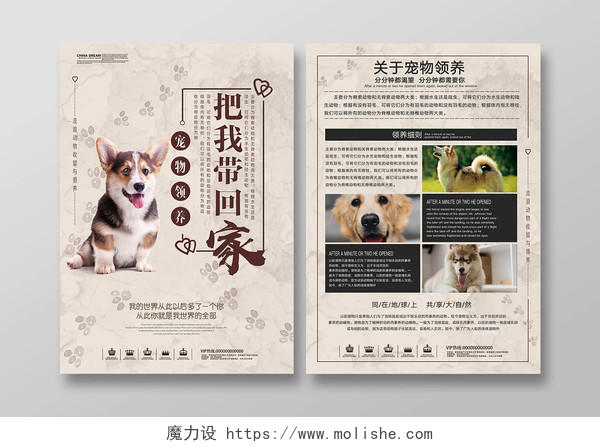清新淡雅宠物店宣传单宠物领养动物单页